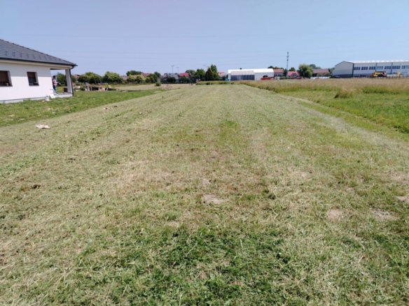 Križ, Novoselec, Građevinsko zemljište, 1238 m2