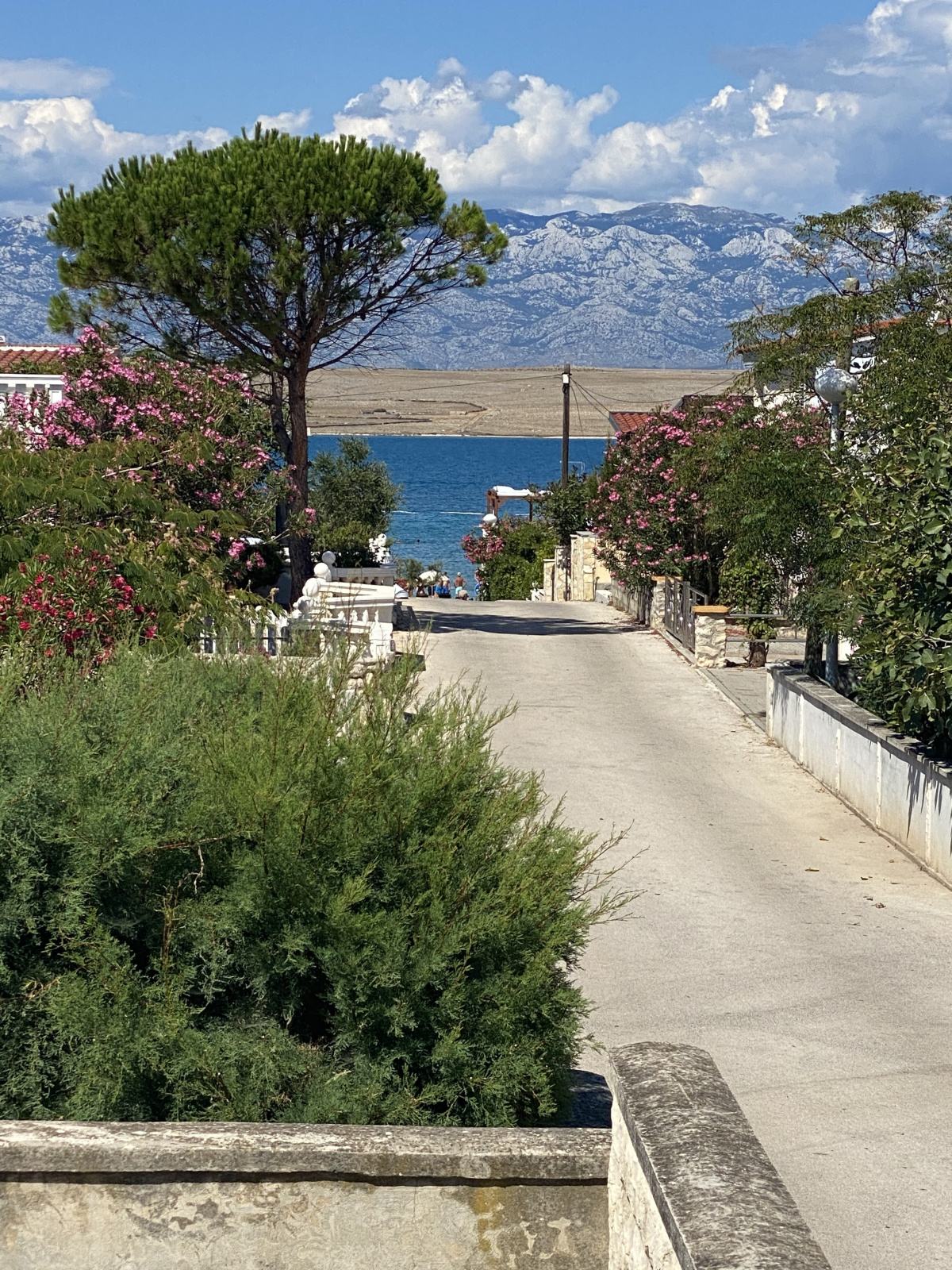 Vir, Kuća s 4 apartmana, Privatni parking, 50 m od mora